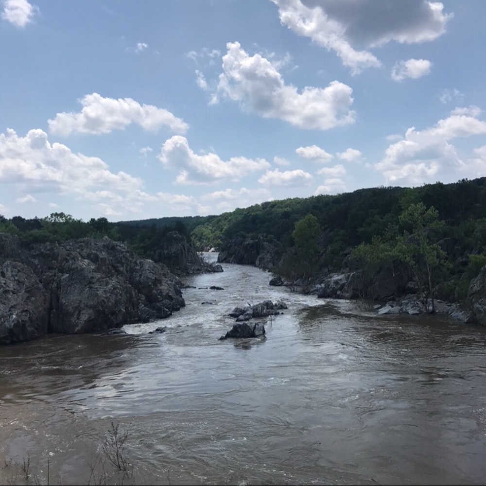 Meet your Posher, Zoe